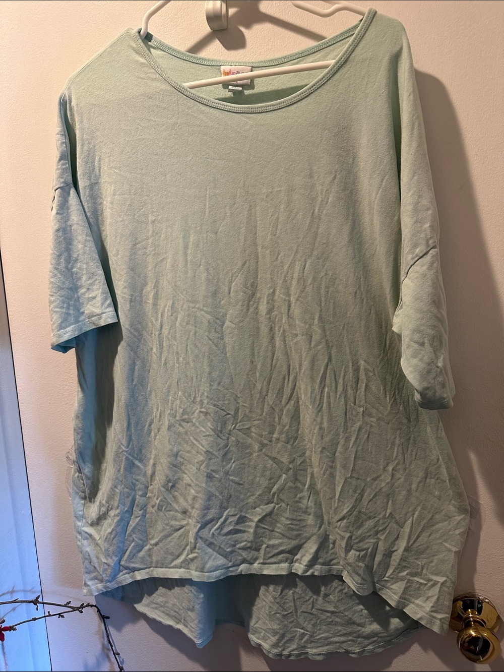 LuLaRoe Mint Green Short Sleeve Men's Crewneck Tee size 2xl